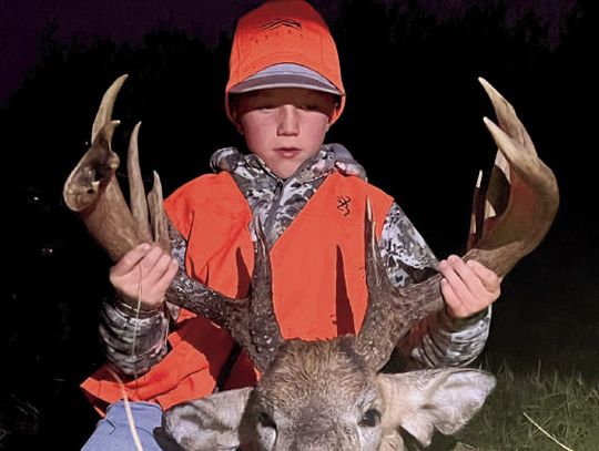 A Winter Tree for Birds