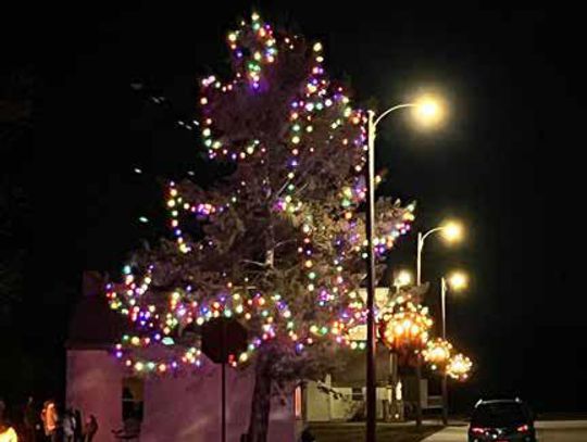 Celebrating the Magic of the Season in Strathcona, MN!