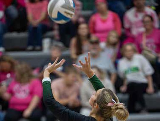 Gator Volleyball Celebrates Night with a Win