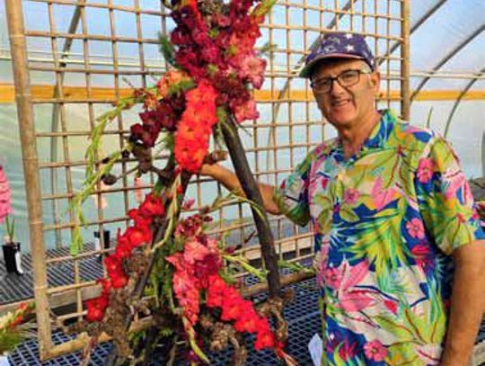 Lew Wallace elected President of MN Gladiolus Society