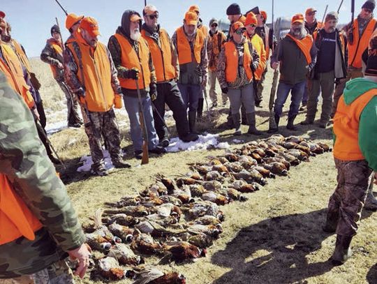 Middle River Veterans Outdoors Sponsors Pheasant Hunt for Local Veterans