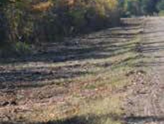 Spruce Valley Cleans Up during Annual Brush Maintenance