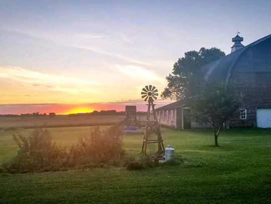 The sun rises on another peaceful day at Sour Dough Farm... Find out more about this unique business in this week’s Honker.