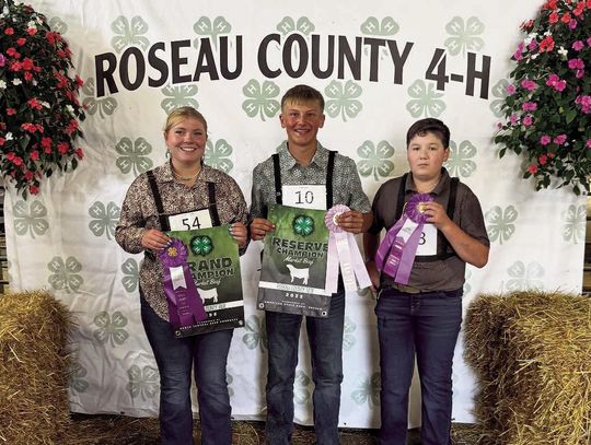 Youth showcase a year of 4-H learning at Roseau County Fair