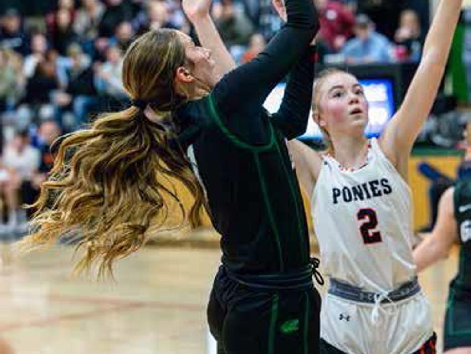 Gator Basketball Action