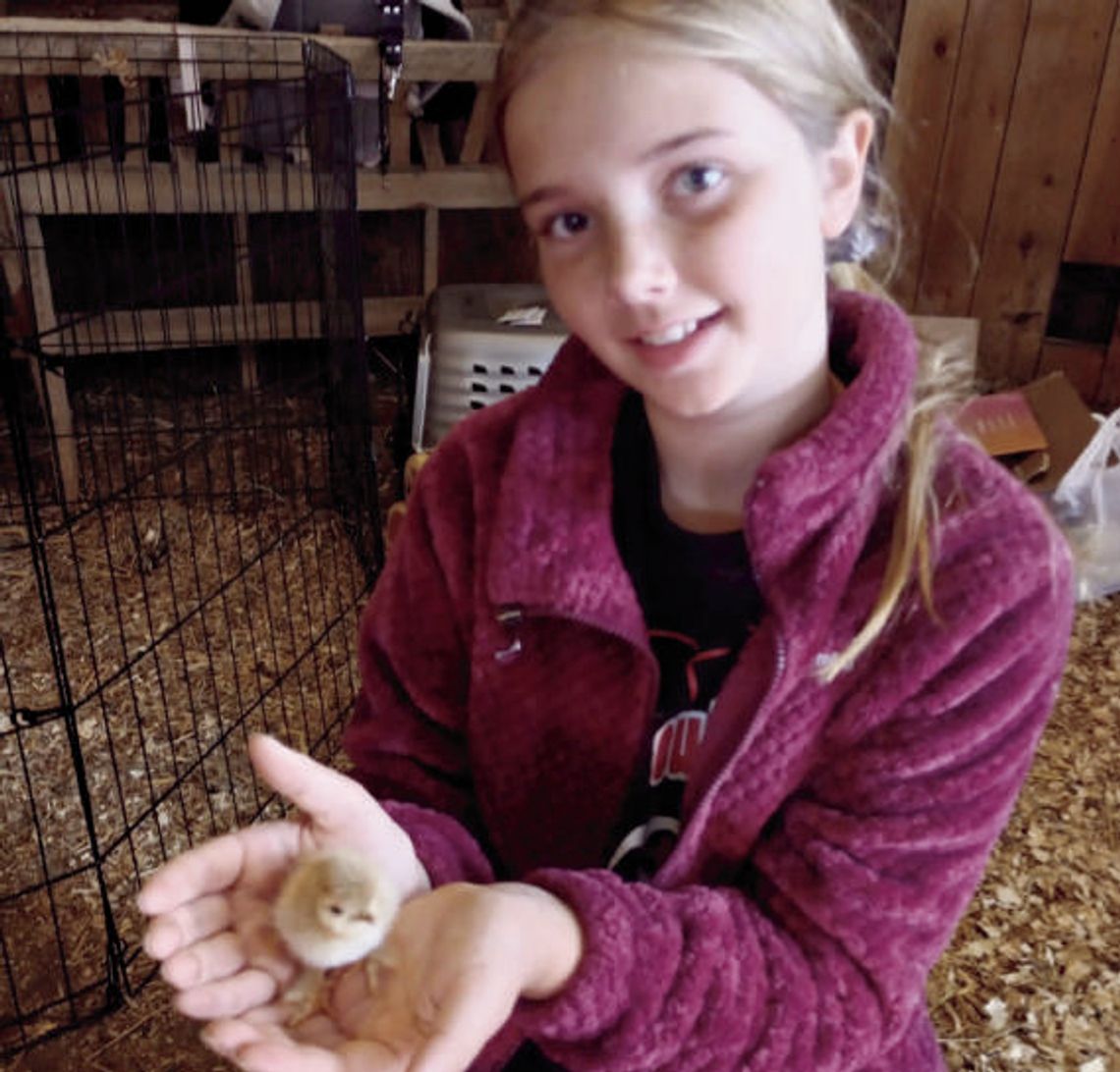 Humbleberry Farms: A little Rain, A lot of fun! Humbleberry Farms: A little Rain, A lot of fun!
