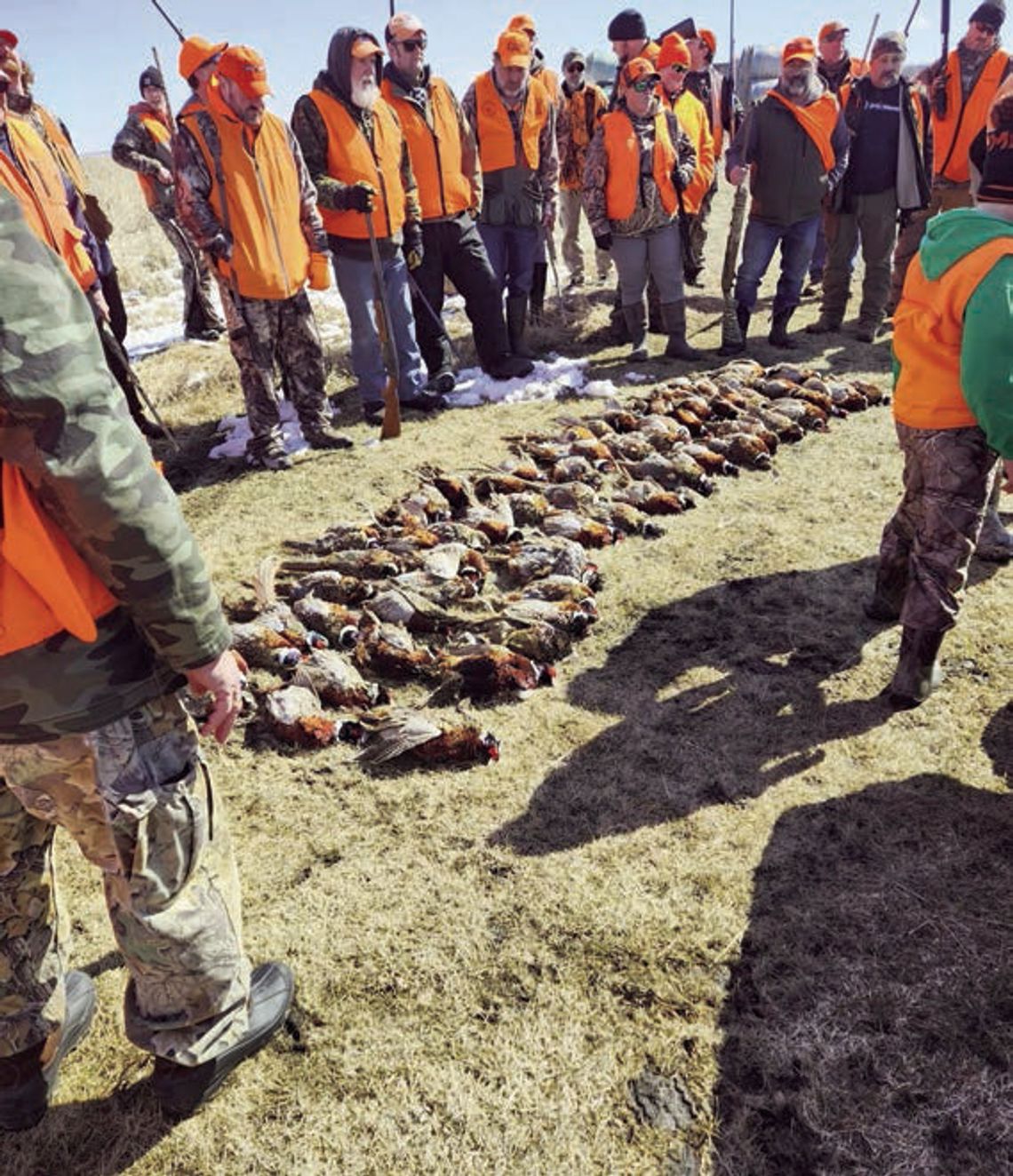 Middle River Veterans Outdoors Sponsors Pheasant Hunt for Local Veterans
