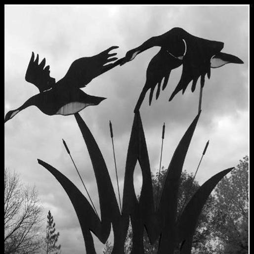 Otter Tail Power Company Requests Minnesota Rate Increase